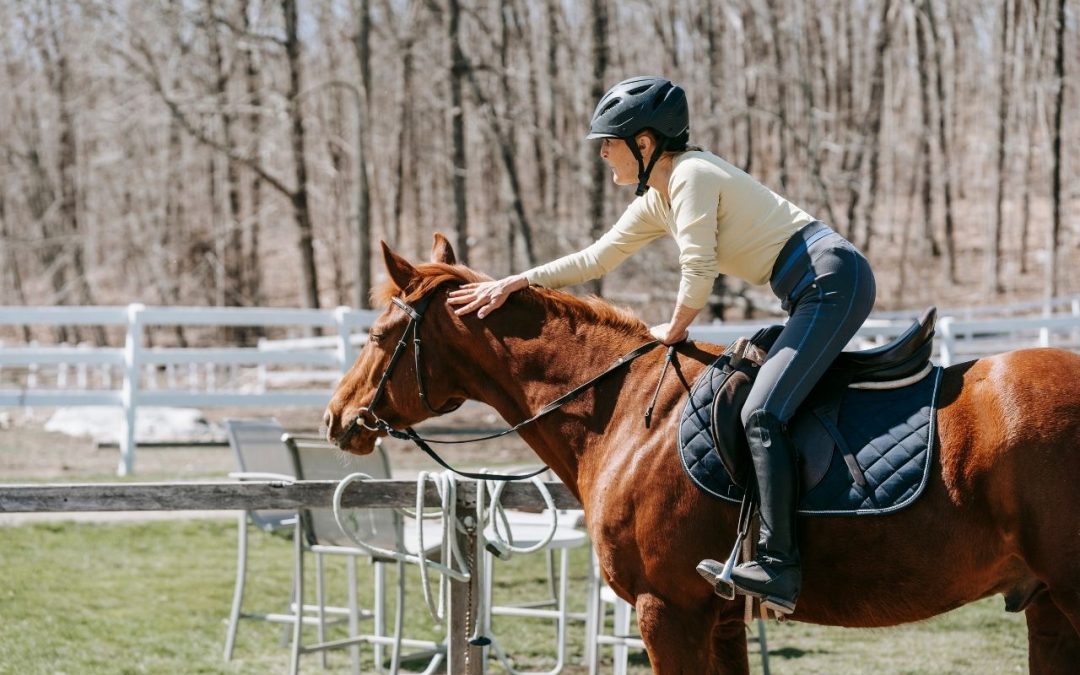 Reiten lernen als Erwachsener – der entspannte Einstieg in den Sattel