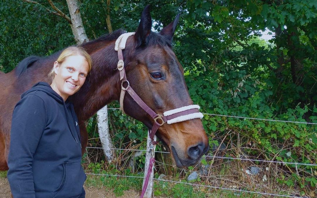 Sicherer Umgang mit Pferden – so wirst du zum Pferdemensch