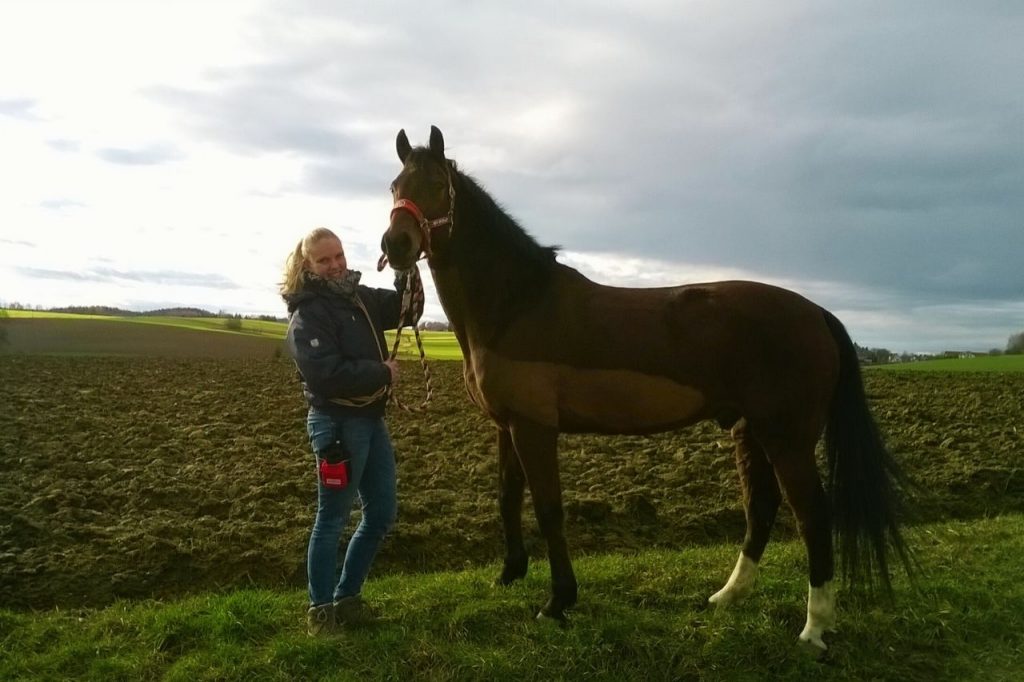 angstfrei reiten