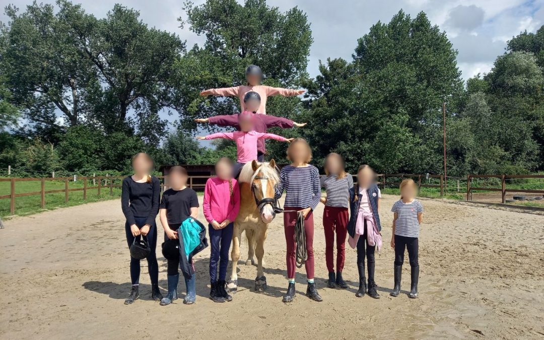 Juli / August Recap: Ferienreitwochen, Lehrgang & kranke Kinder