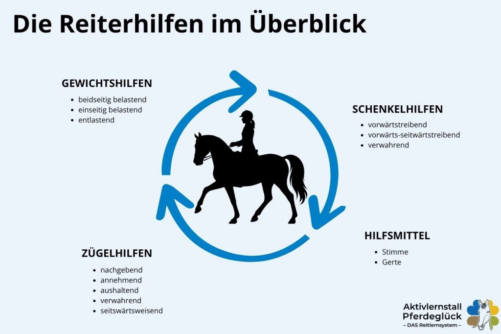Reitlehre einfach erklärt