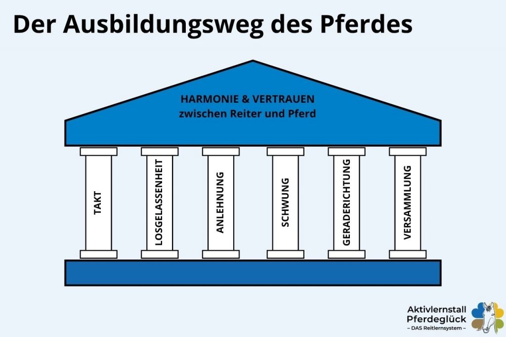 Reitlehre einfach erklärt