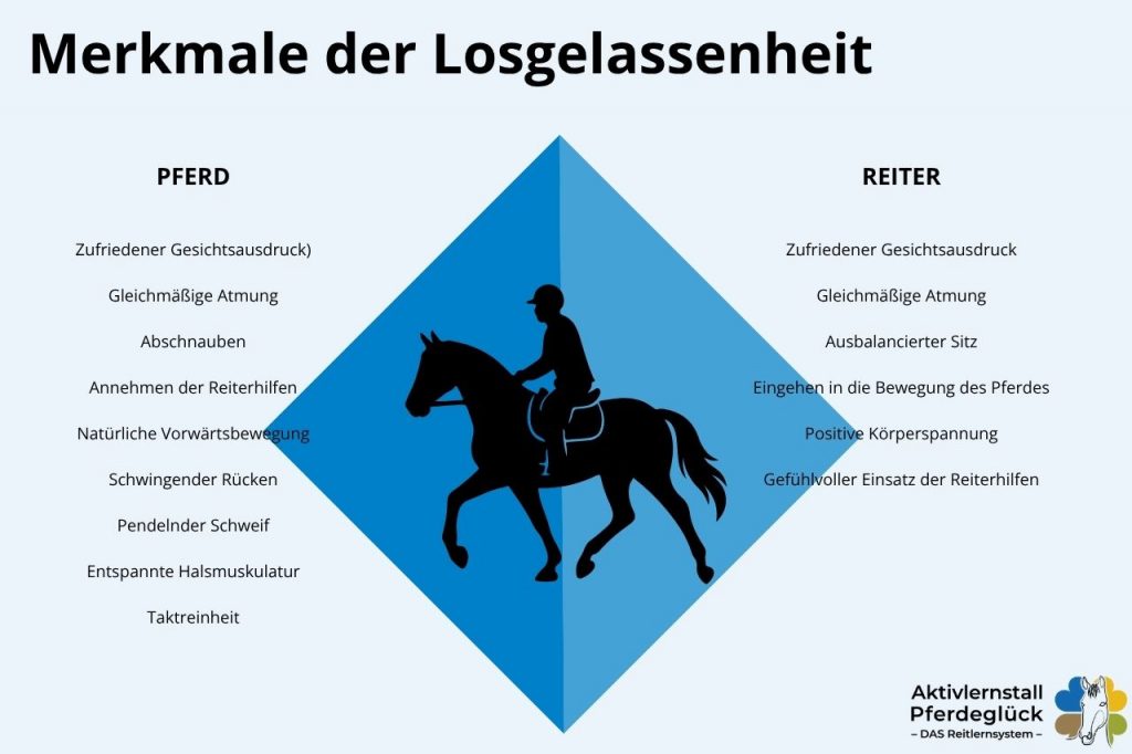 Reitlehre einfach erklärt