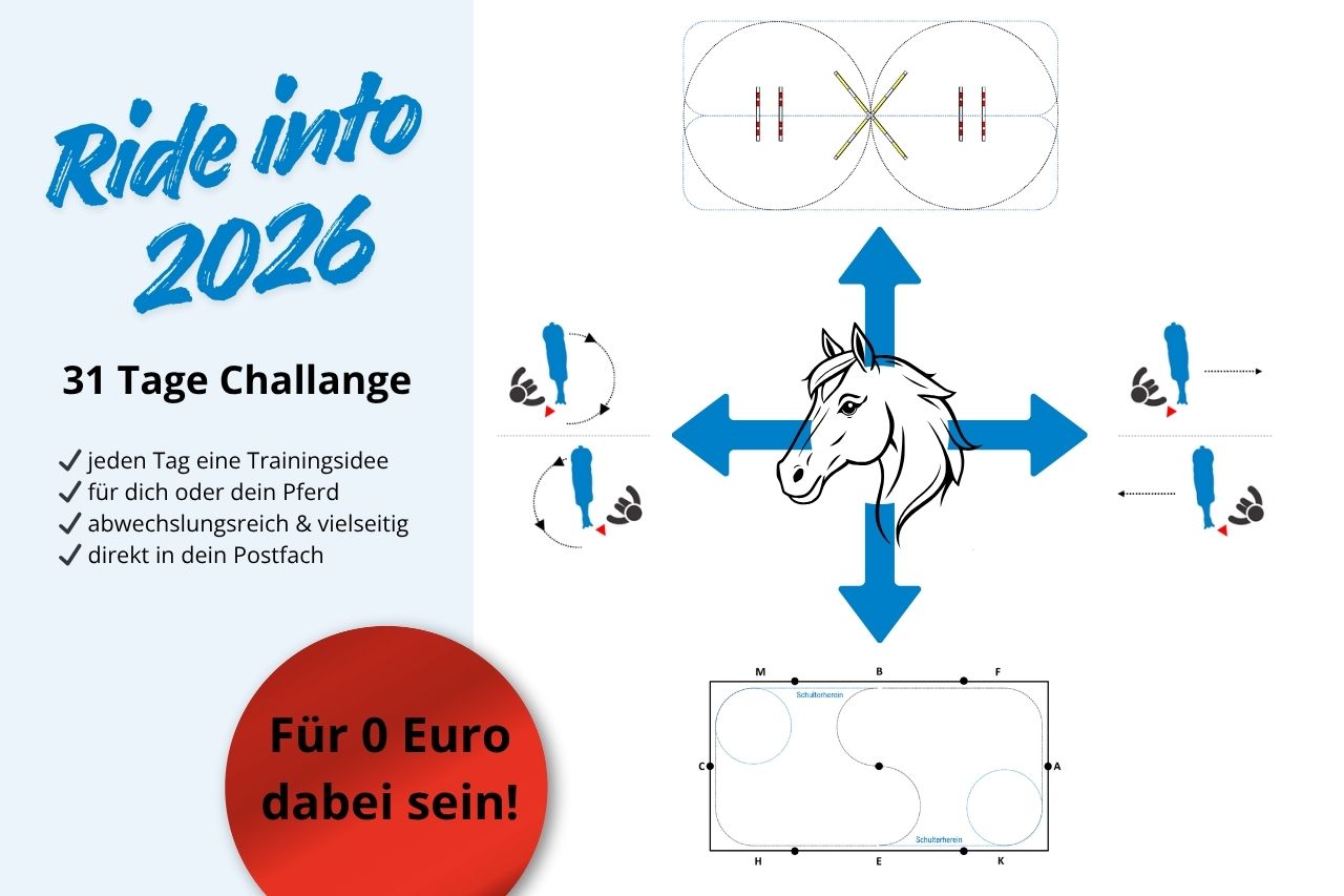 Bildbearbeitung (22)