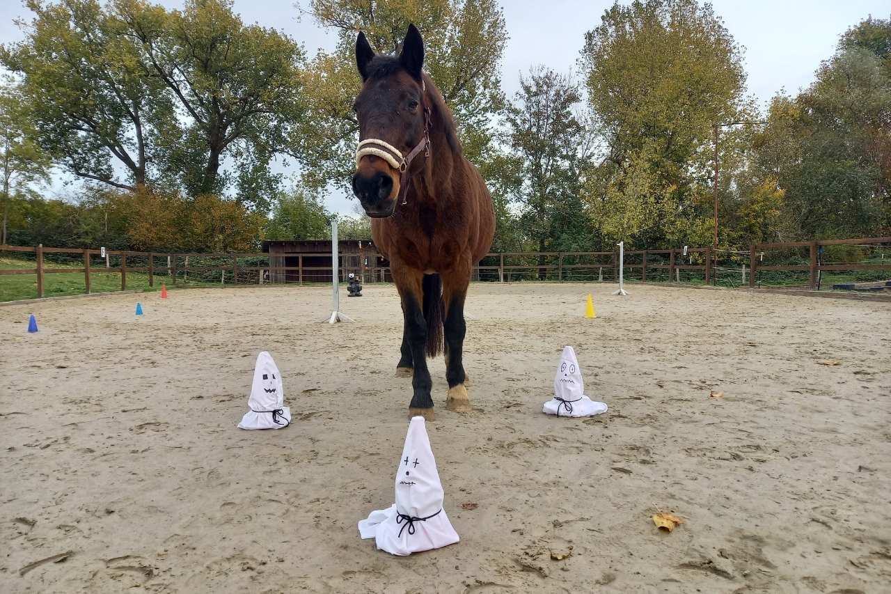 Recap Oktober 2025-1