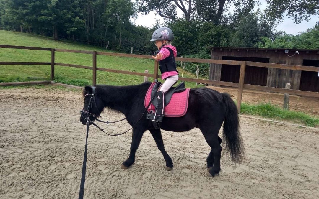 September Recap 2025: Spaßturnier im Aktivlernstall Pferdeglück