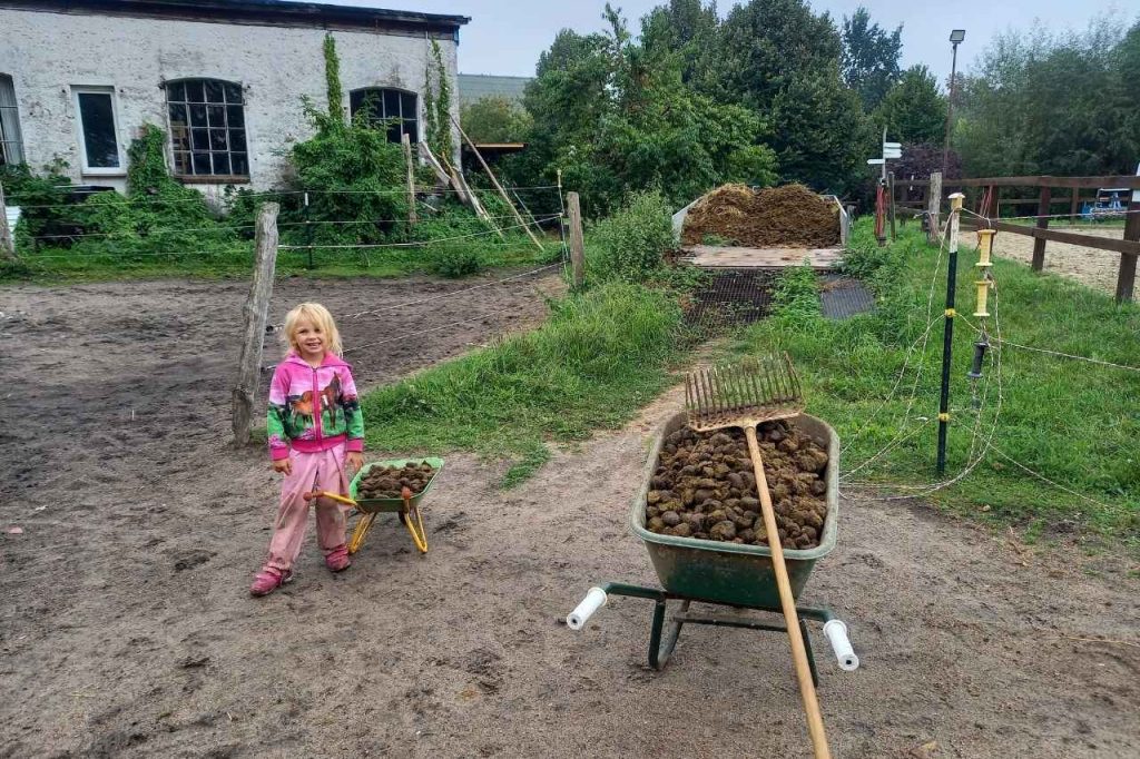 Recap September 2025