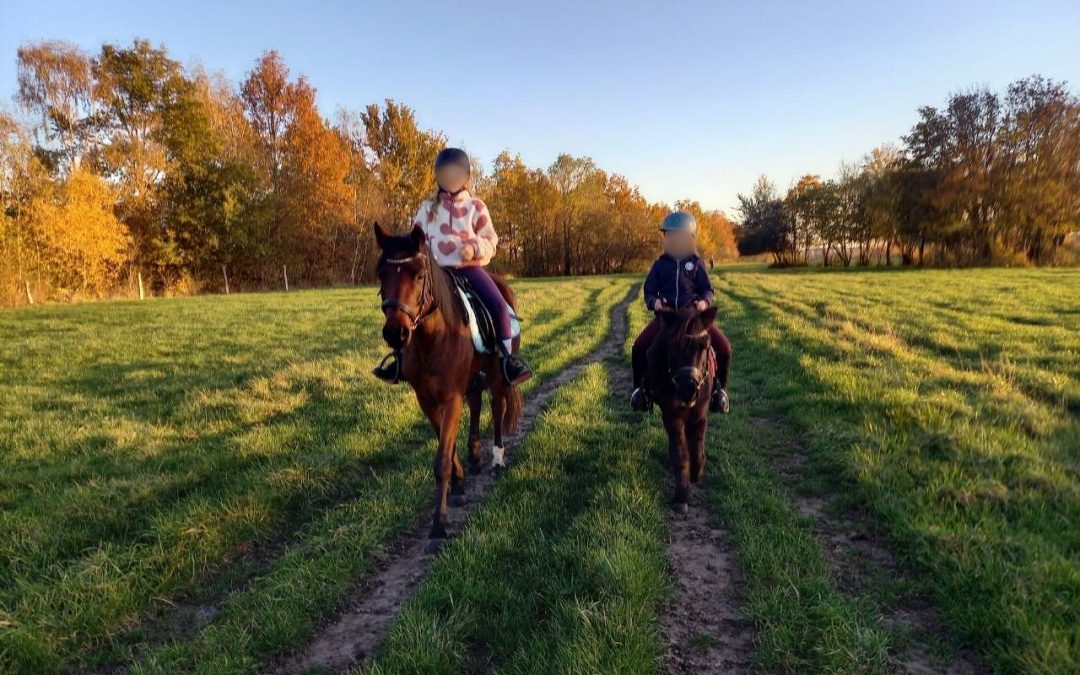 November Recap 2025: Ruhe kehrt ein