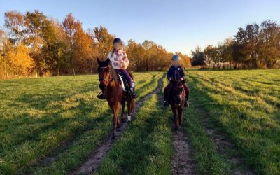 November Recap 2025: Ruhe kehrt ein