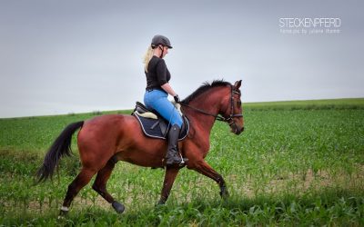 Der richtige Sitz beim Reiten und die Hintergründe einfach erklärt
