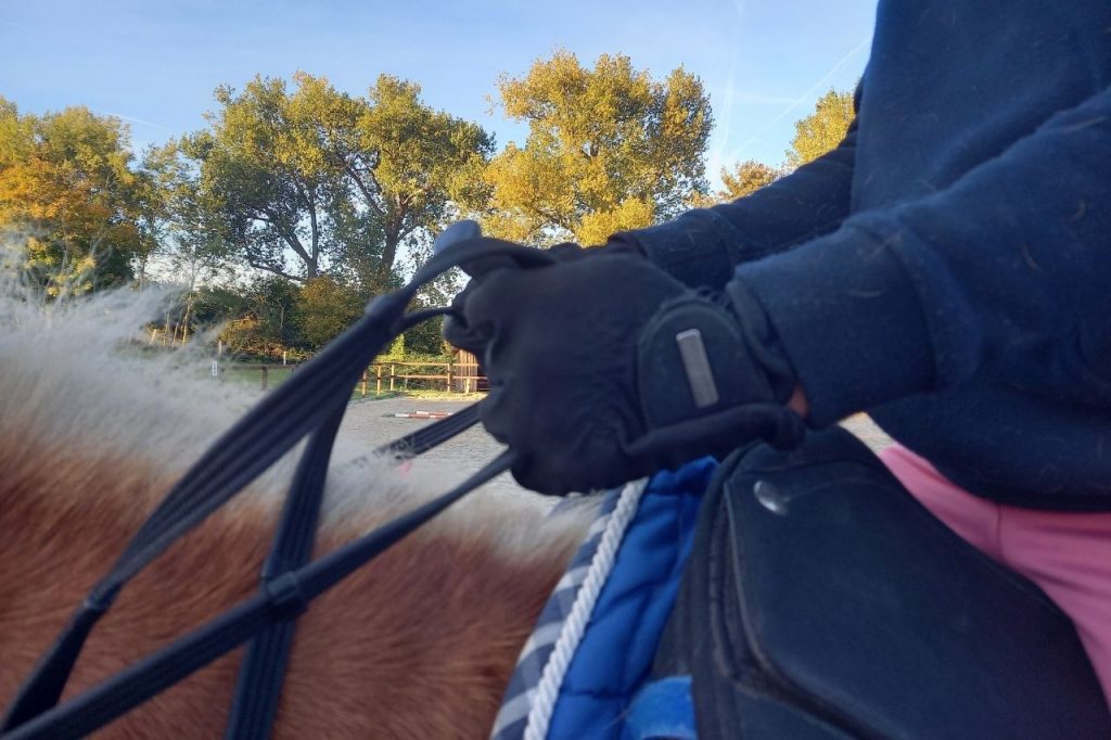 richtiger Sitz beim Reiten