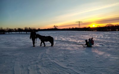 Januar Recap 2026: Winterwonderland und ganz viel Improvisation