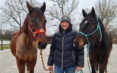 Februar Recap 2026: Ich habe ein Pferd gekauft!