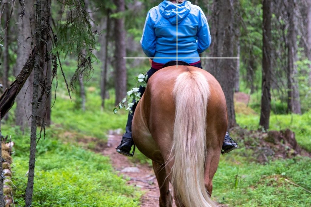 Hilfengebung beim Reiten