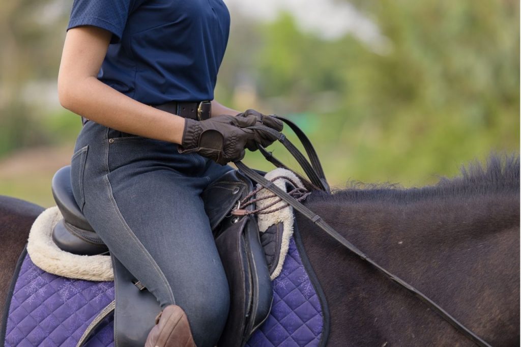 Hilfengebung beim Reiten