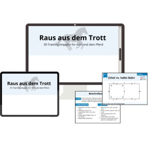 Zum Download: Raus aus dem Trott - 30 Trainingsimpulse