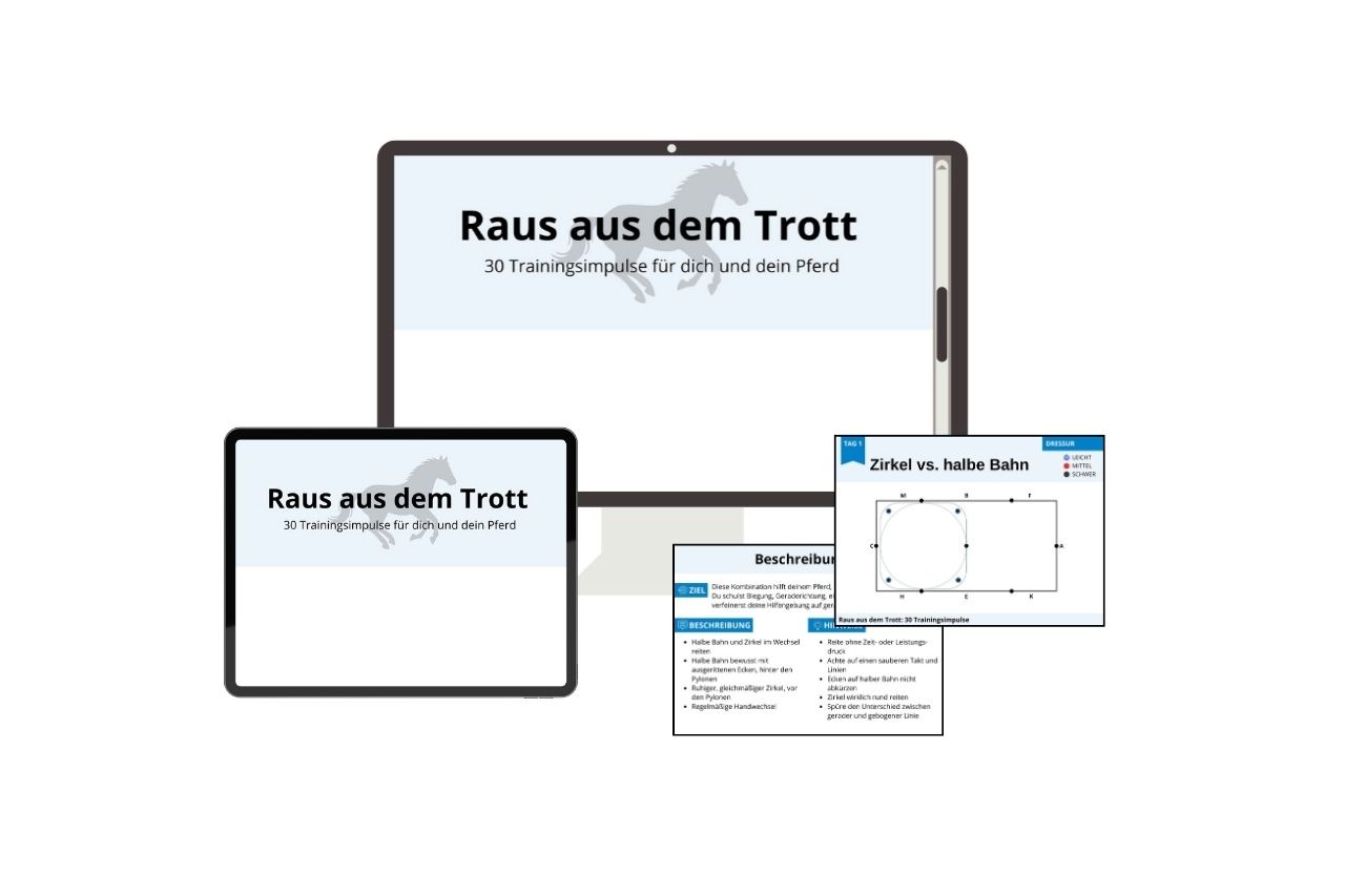 Zum Download: Raus aus dem Trott - 30 Trainingsimpulse