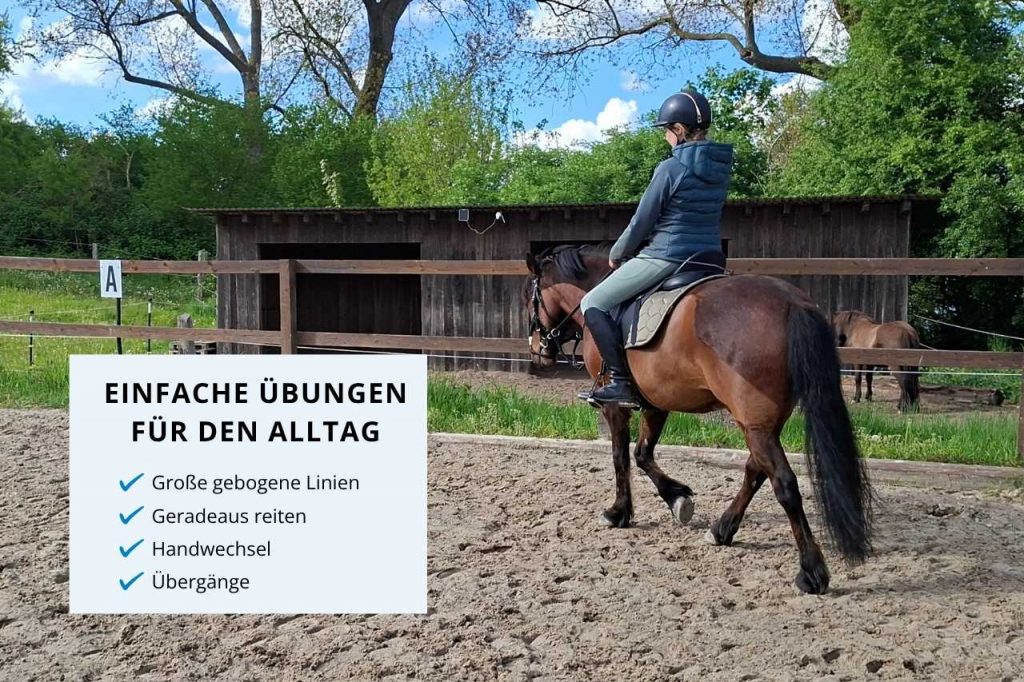 Pferd läuft schief