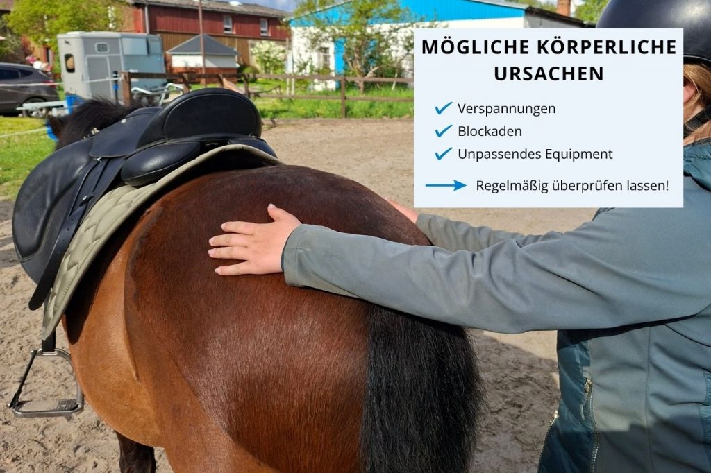 Pferd läuft schief