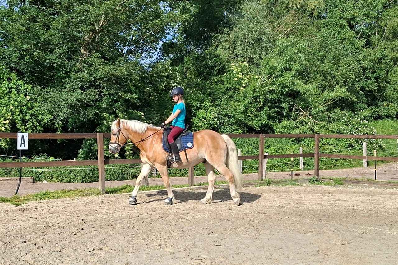 wie-oft-pferd-reiten