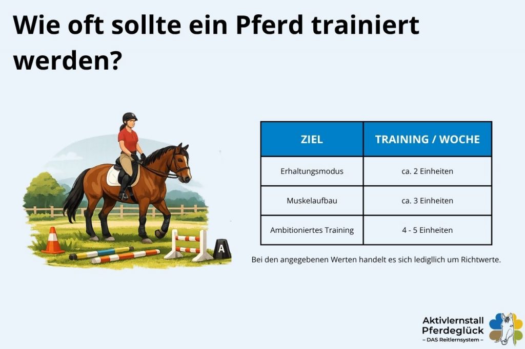 wie-oft-pferd-reiten_0