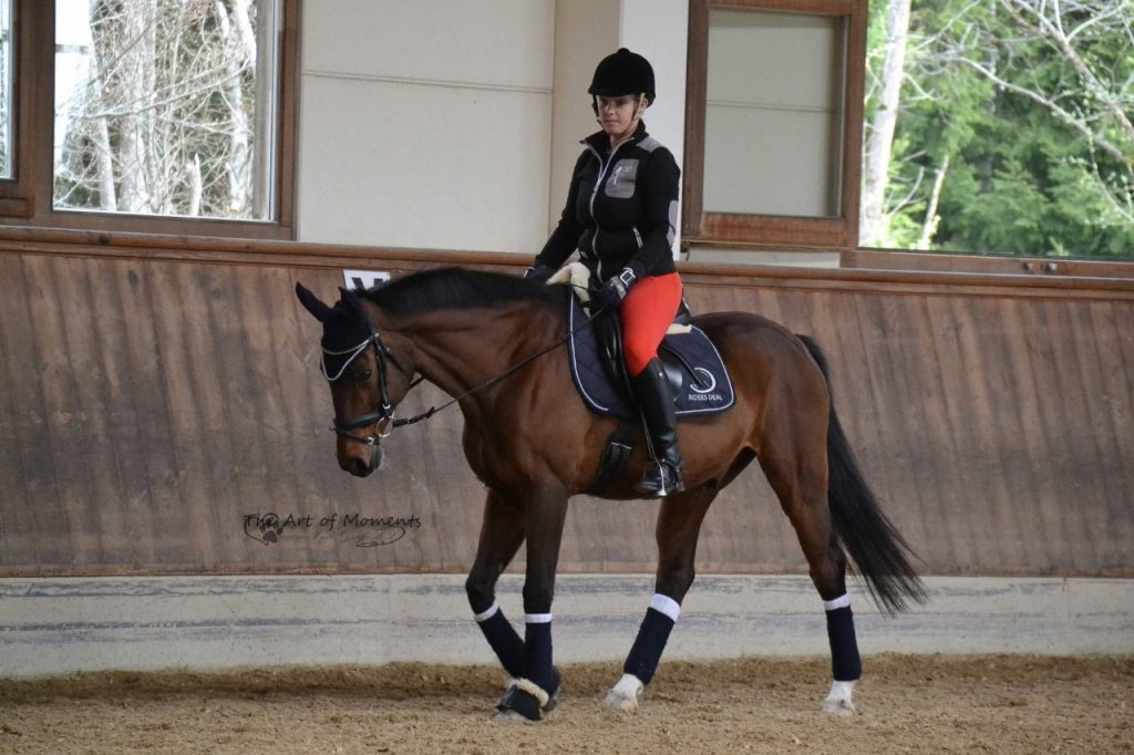 wie-oft-pferd-reiten_0