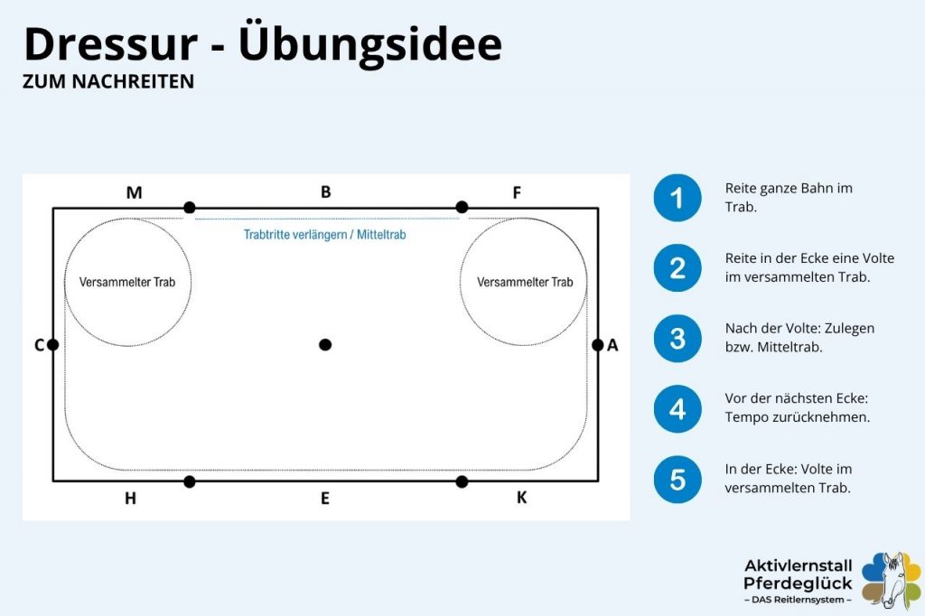 tempounterschiede-im-trab_1