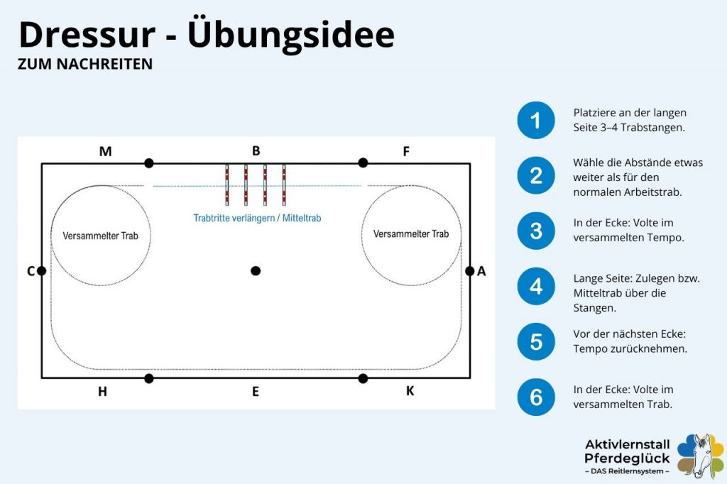 tempounterschiede-im-trab_2