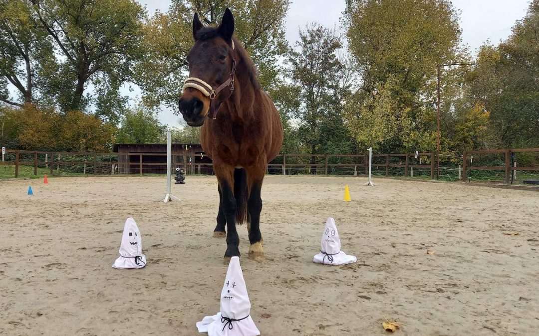 6 kreative Spielideen für das Halloween Reiten mit Kindern