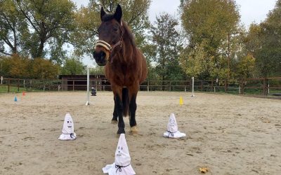 6 kreative Spielideen für das Halloween Reiten mit Kindern