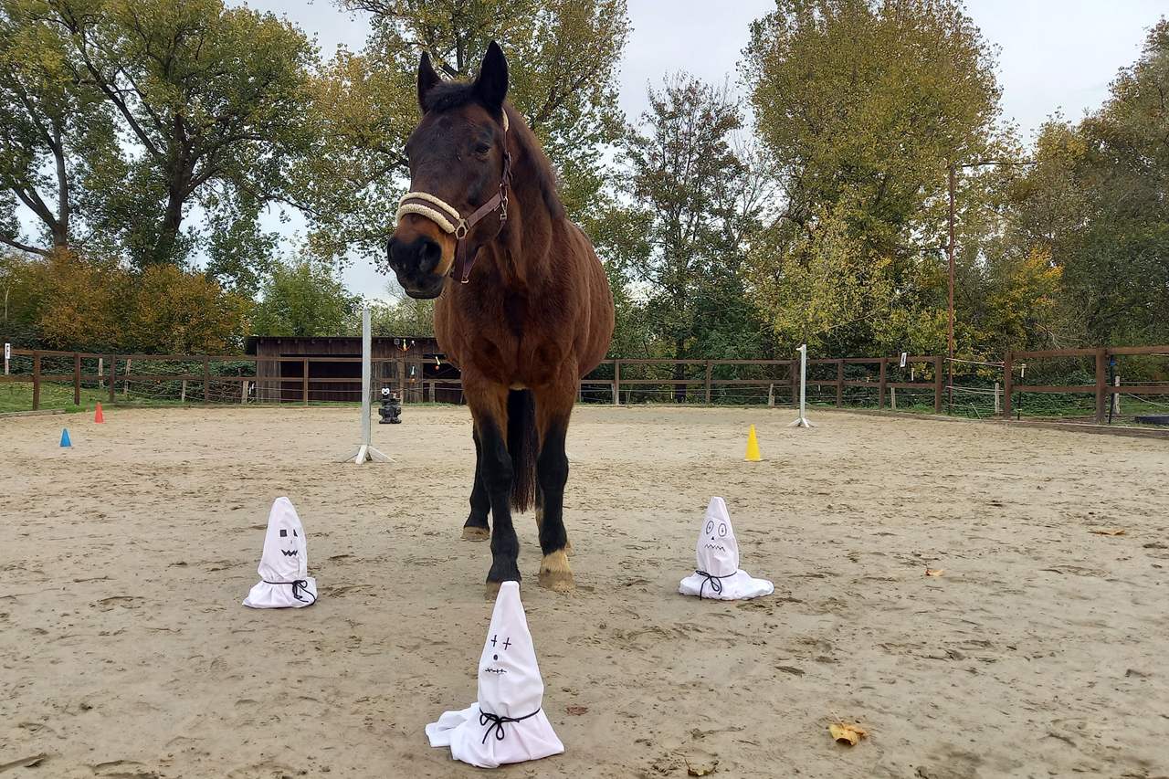 Halloween-Reiten